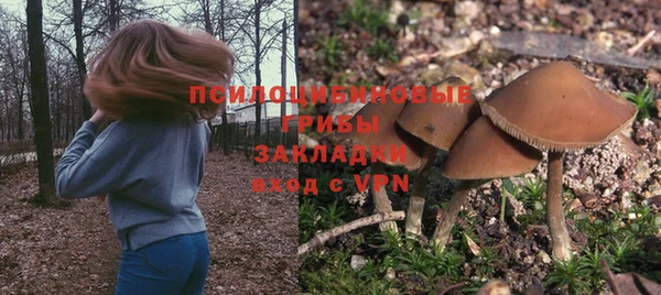 СК Долгопрудный