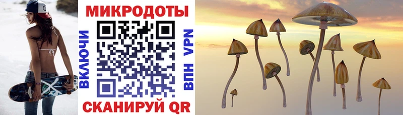 Купить где  Приозерск  Галлюциногенные грибы Psilocybe 