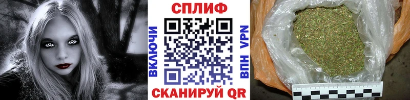 Канабис сатива Приозерск